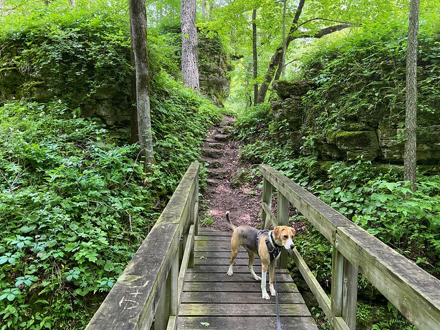 Hikin the Six Pine trail