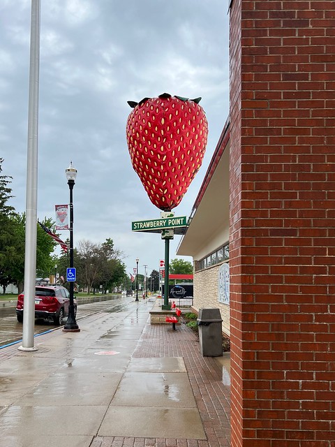 The Strawberry of Strawberry Point