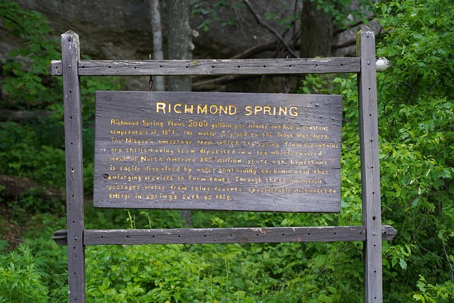 Pretty sure someone free-hand carved this Richmond spring sign.