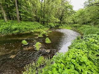 Fenchel Creek