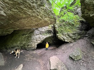 Backbone cave