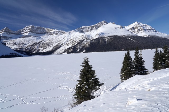 Looking out at Bow Lake