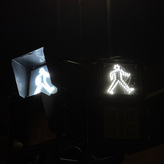 They really be struttin across crosswalks in Banff