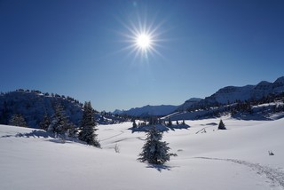 Snow - Just walkin around these mountains