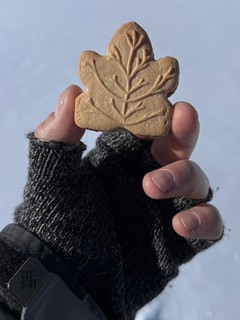 Snow - These were the most Canadian cookies ever. Very Mapley.