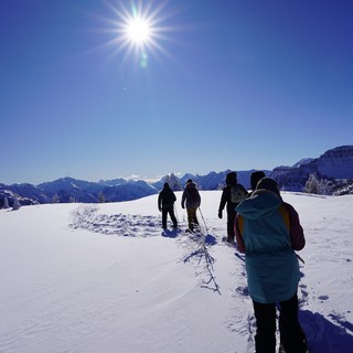 Snow - To the back country