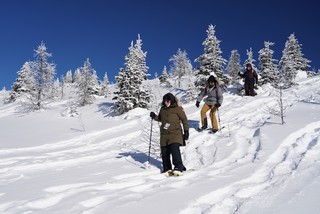 Snow - Startin down the hill