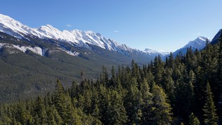 Snow - View from the Banff Gondola