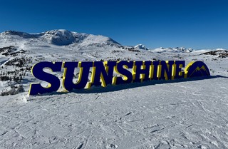 Snow - Perfect day for some Sunshine