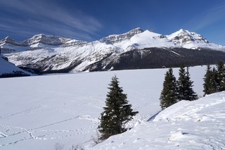 Snow - Looking out at Bow Lake