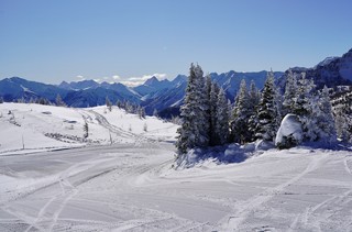 Snow - Bout to snowshoe outta here