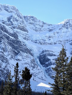 Snow - A glacier on Icefields Parkway