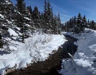 Snow - Walking up to high tea at Lake Louise