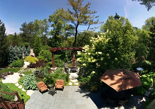 It's a beautiful day to be hanging out in this back yard