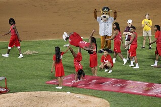 Jesse White Tumblers. Tumblin.