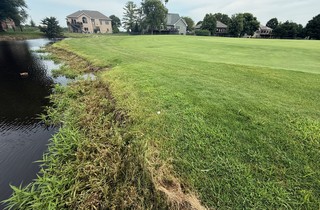 Tried to drive the green. Cleared this pond by about a foot, hahah