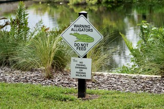 Travel - Must be Alligator Alcatraz