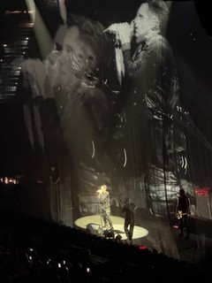 Travel - March of the Pigs