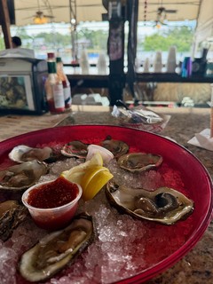 Travel - Dive Bar Oysters