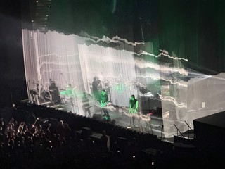 Travel - I took too many photos of this reptile track