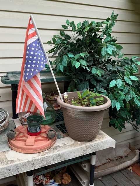 A political statement from grandma