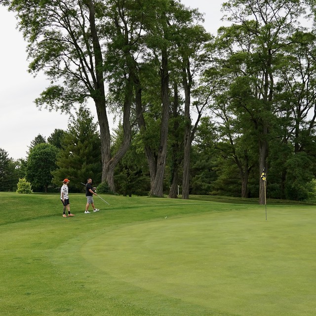 Side-by-side on green #3