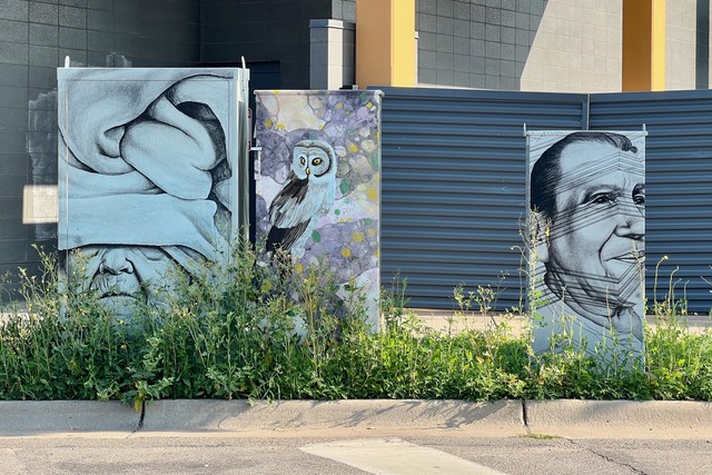 Minneapolis has really good art on their utility panels