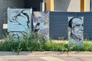 Art - Minneapolis has really good art on their utility panels