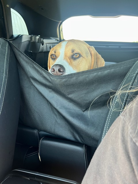 Durb likes to keep his eyes on the road