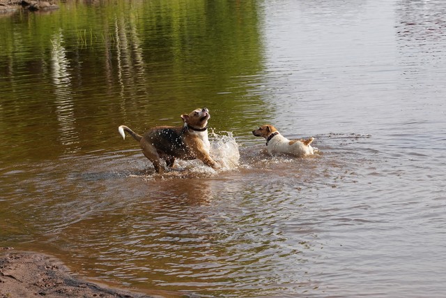 Derpy Durb and Jaxon