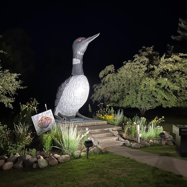 This is apparently the world's biggest loon