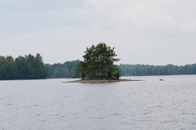 Lil pine island