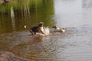 Derpy Durb and Jaxon