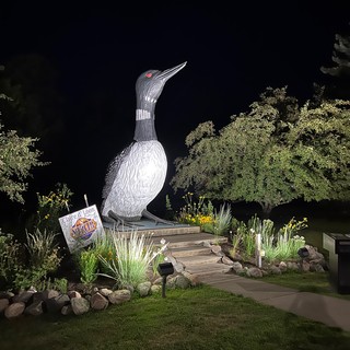 This is apparently the world's biggest loon