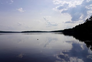 Lookin up the shore from mom's dock