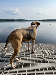 Checking out the lake