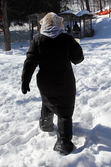 My Wife and I are Furries