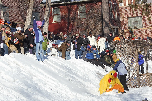 Everyone picking on the chicken