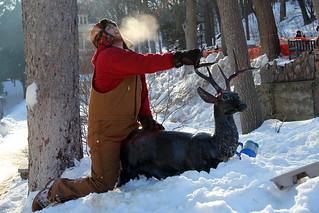 Craig O'brien - Hot Love Breaths