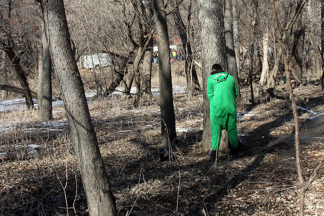 Just a frog peeing on a tree