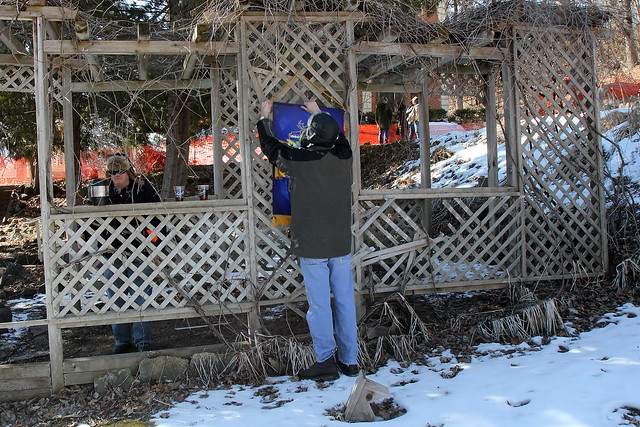 Decorating the trellis