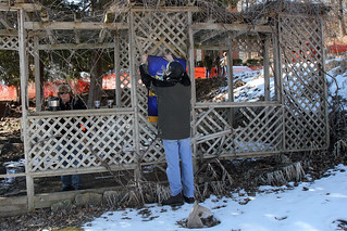Decorating the trellis