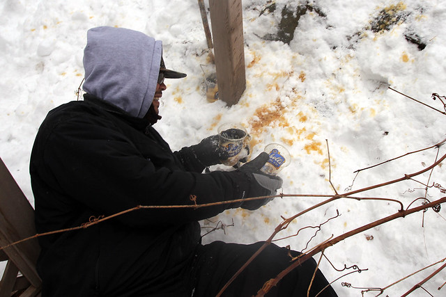 Photo 3/4: Boom. Nailed it!