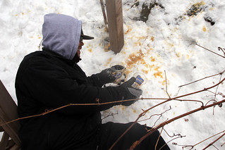 Nathan D - Photo 3/4: Boom. Nailed it!