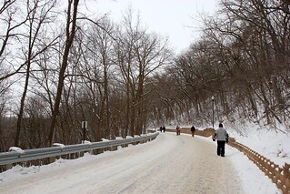 The Journey to Bock Fest