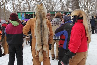 Looks like a great day to wear a coyote