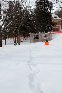 The path to our fort