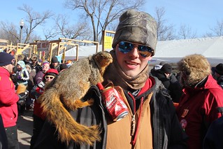 Squirrel - Nice little pet squirrel