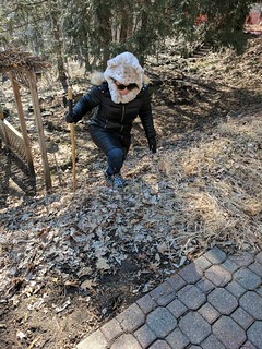 Look at this mountain climber