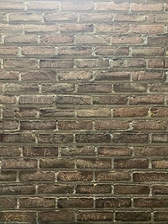 I have never noticed all of the names carved into the Brick's behind Rodney's